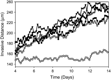 FIGURE 13