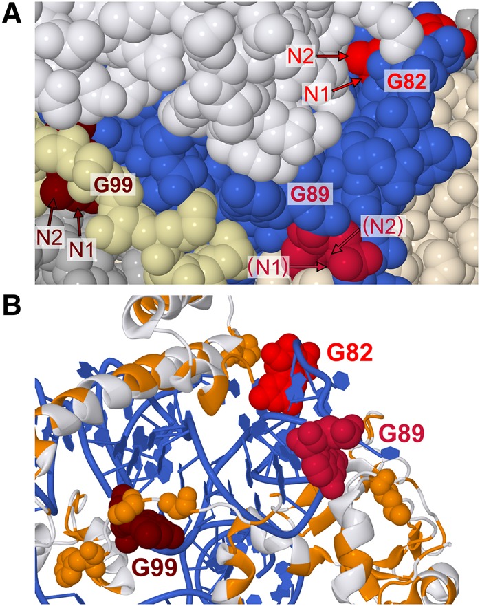 FIGURE 4.