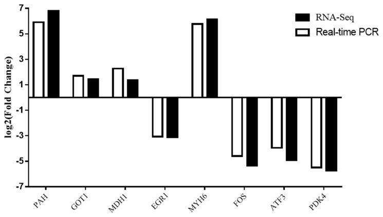 Figure 6