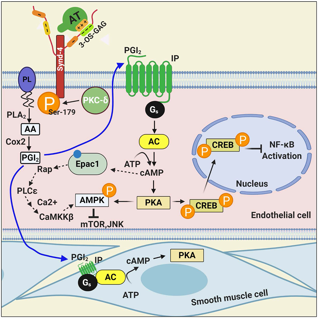 Figure 3.