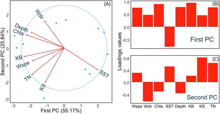 Fig 2