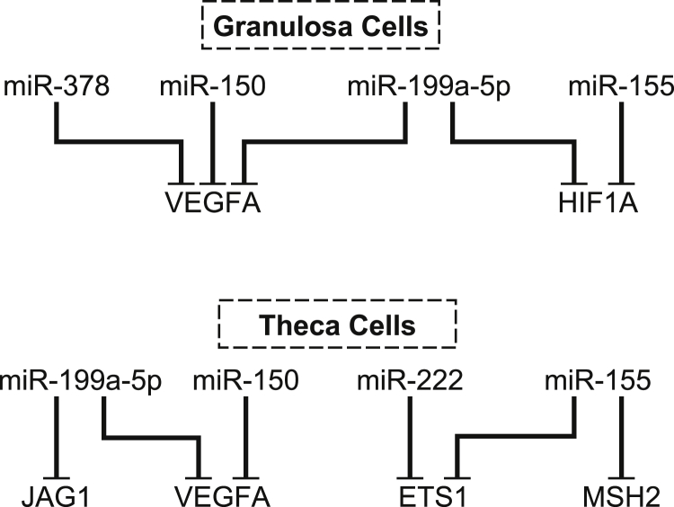 Fig. 4