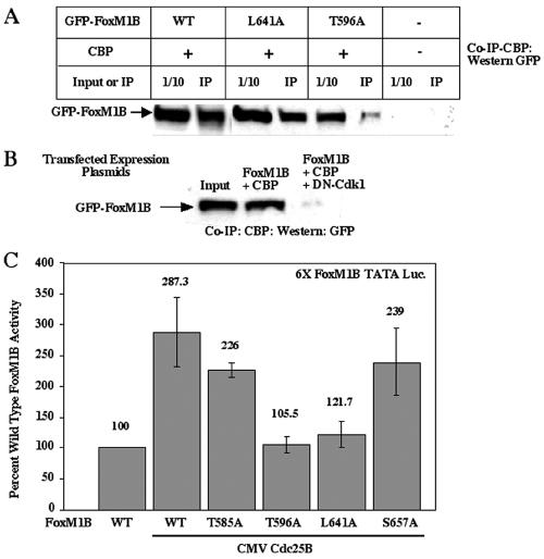 FIG. 6.