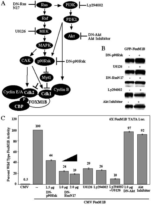 FIG. 7.