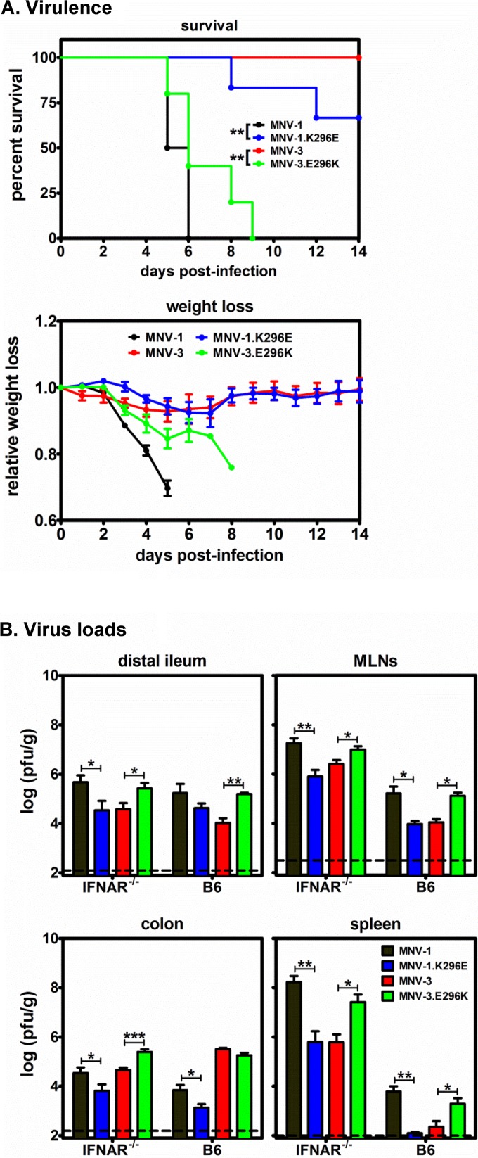 FIG 3