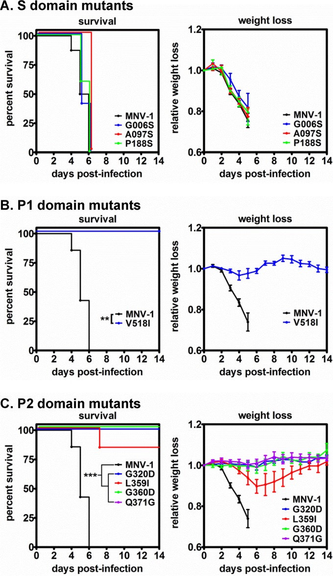 FIG 6