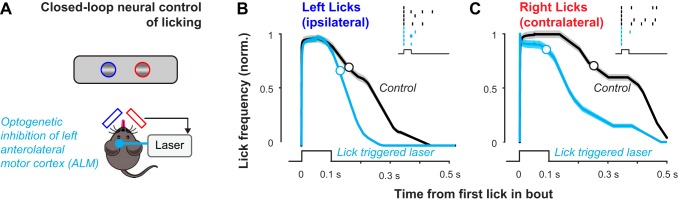 Fig. 10.