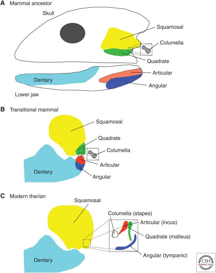 Figure 2.