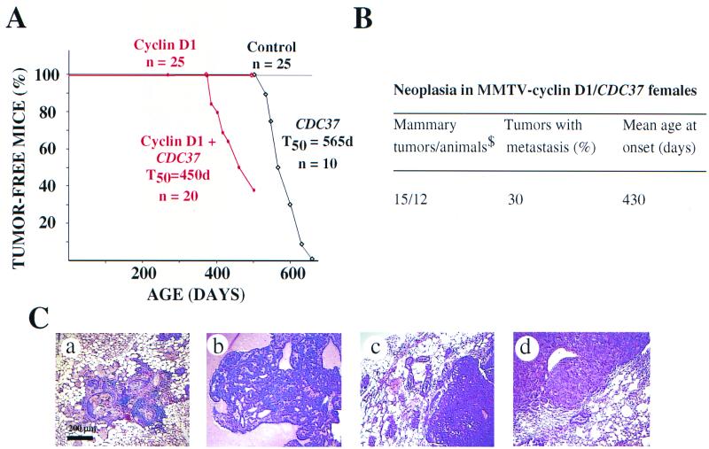 FIG. 7