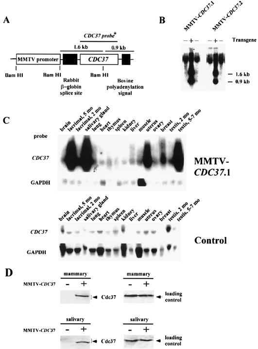 FIG. 1