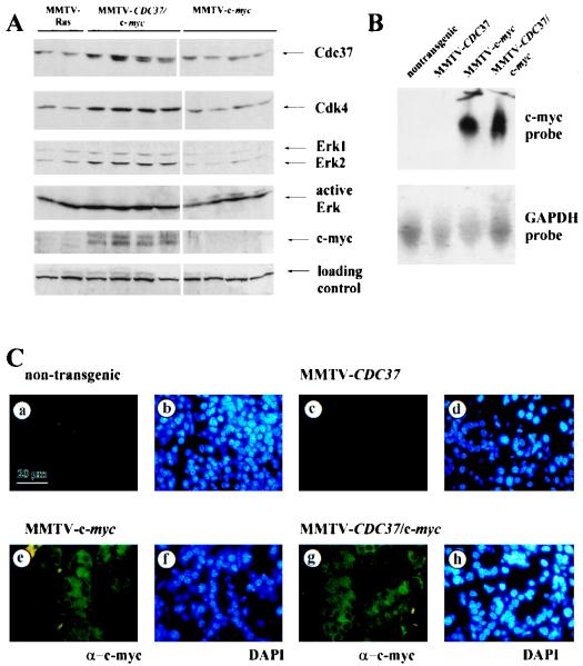 FIG. 6