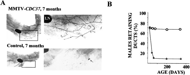 FIG. 8