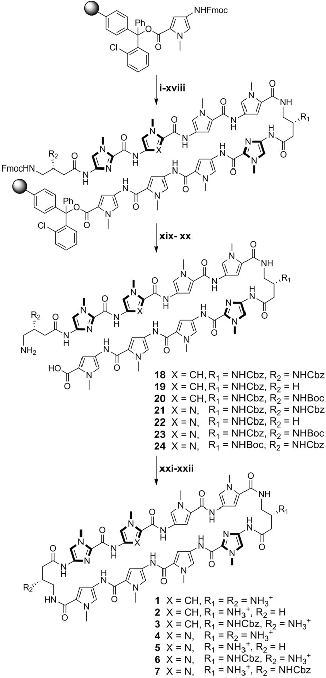 Scheme 1