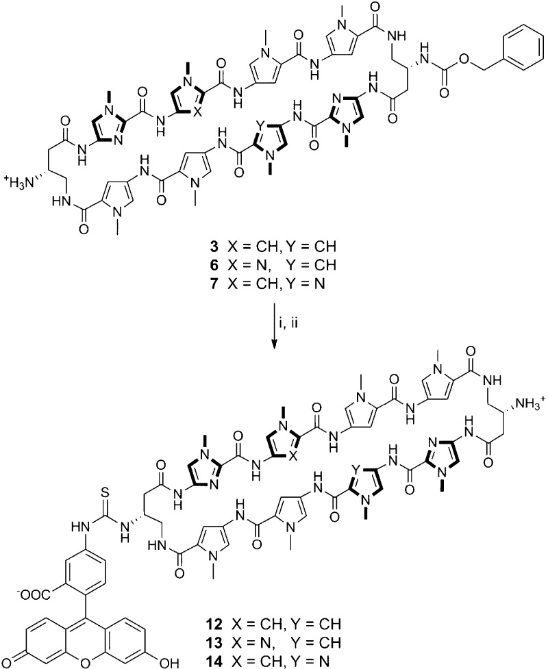 Scheme 3