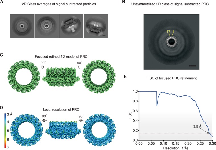 Figure 4—figure supplement 2.