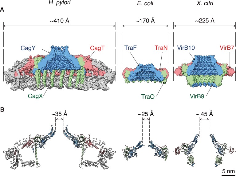 Figure 6.