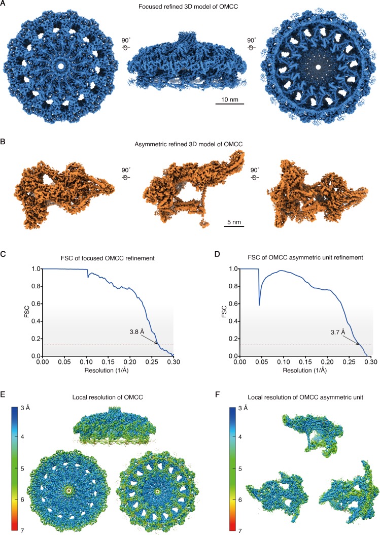 Figure 1—figure supplement 2.