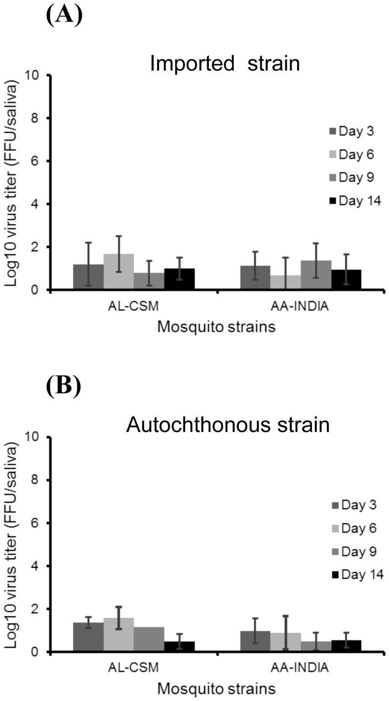 High Efficiency of Temperate Aedes albopictus to Transmit Chikungunya ...