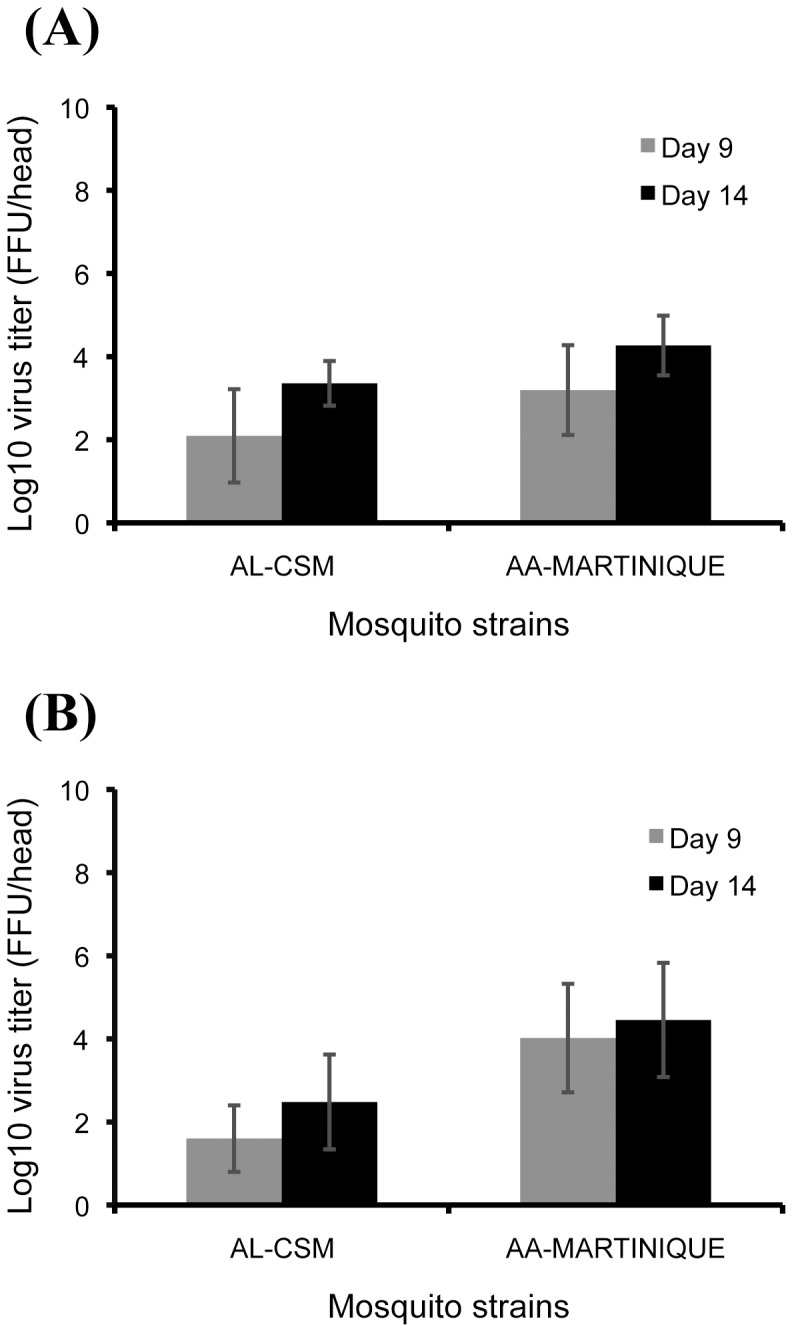 High Efficiency of Temperate Aedes albopictus to Transmit Chikungunya ...