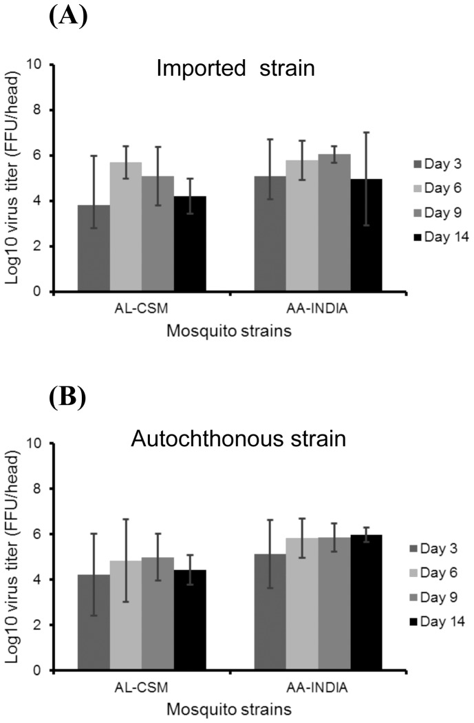 High Efficiency of Temperate Aedes albopictus to Transmit Chikungunya ...