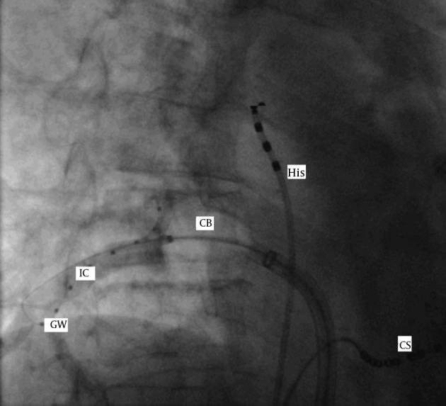 Figure 1.