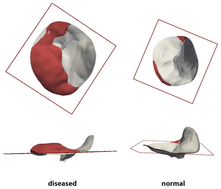 Fig 3