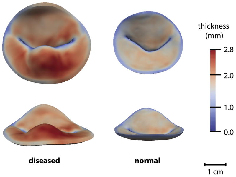 Fig 5