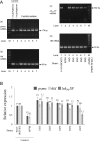 Fig 12