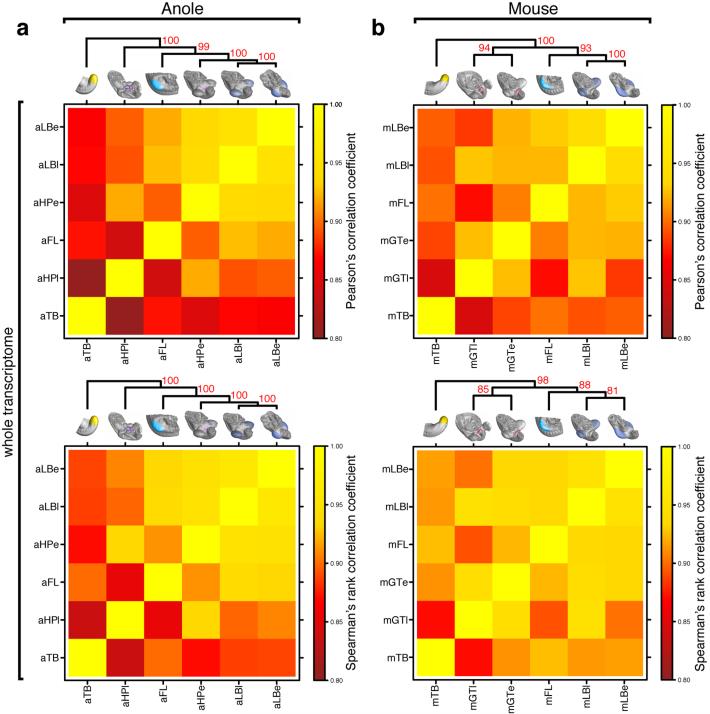 Extended Data Figure 3