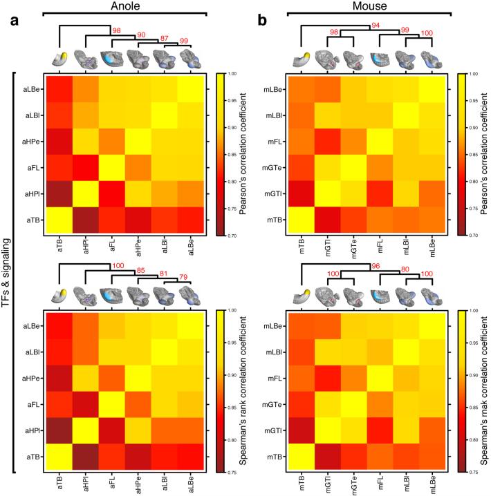 Extended Data Figure 4