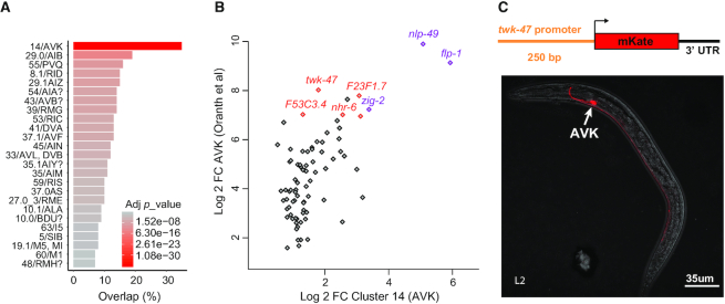 Figure 4.