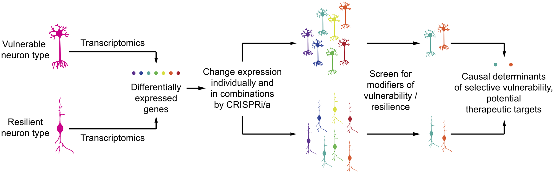 Figure 7: