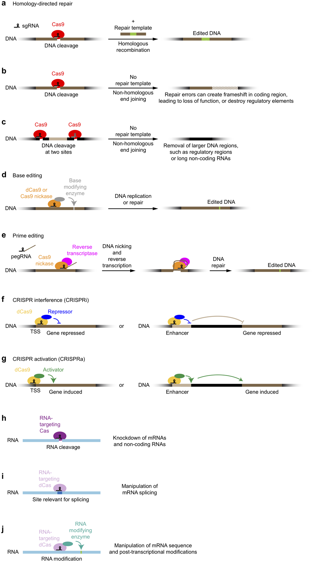 Figure 2: