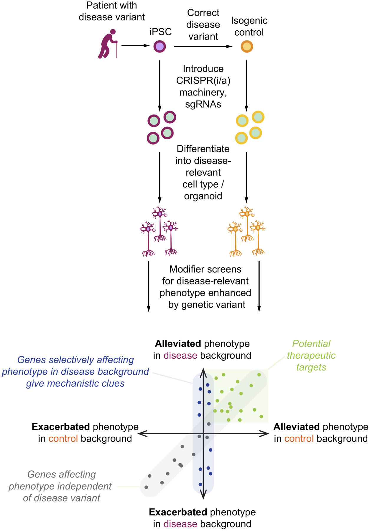 Figure 5: