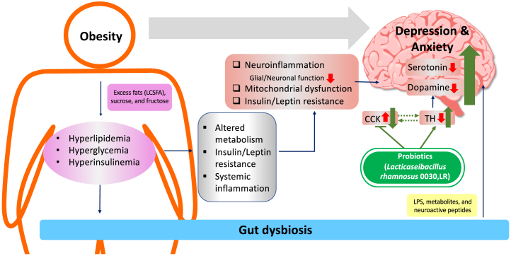 Figure 1