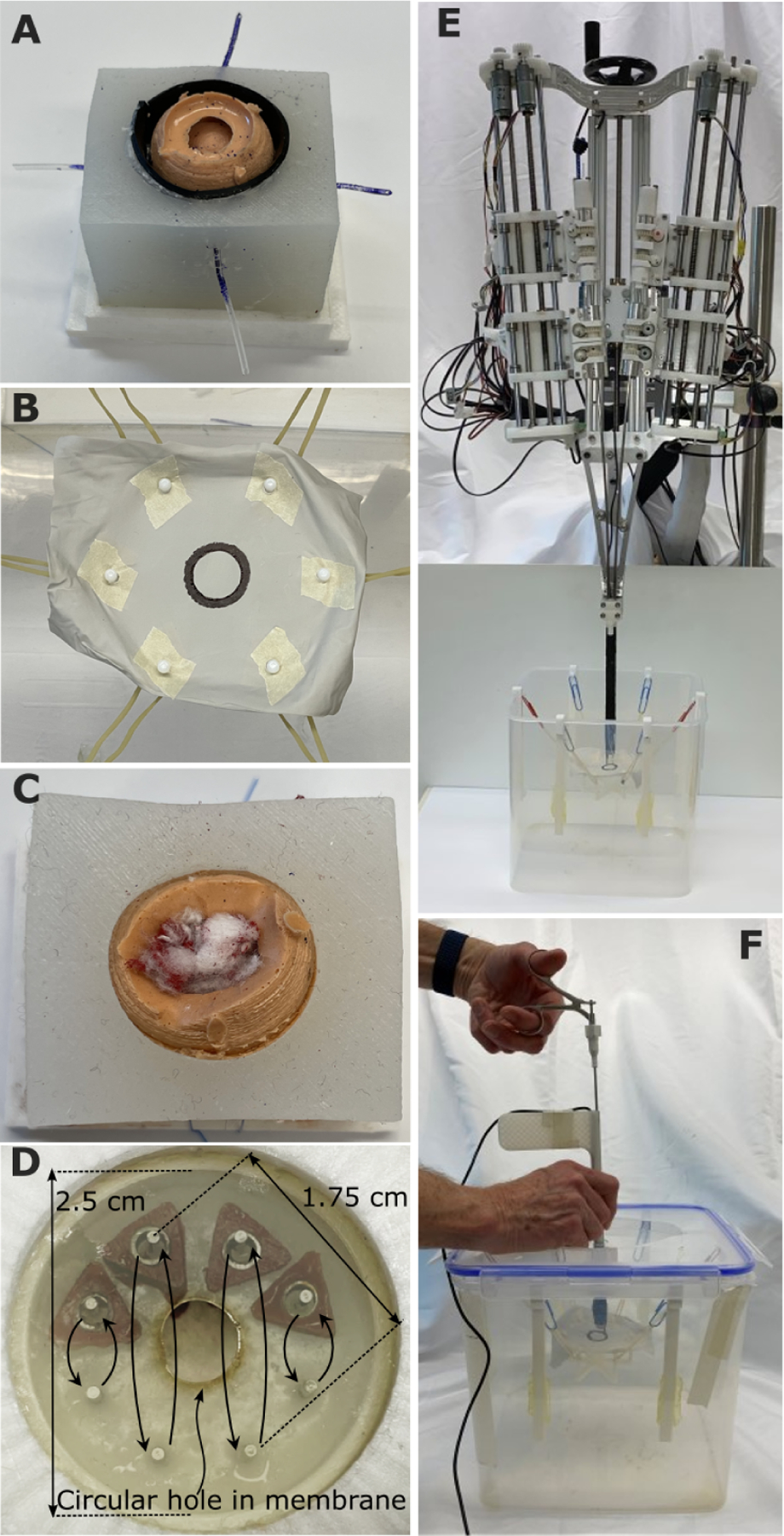 Fig. 4.