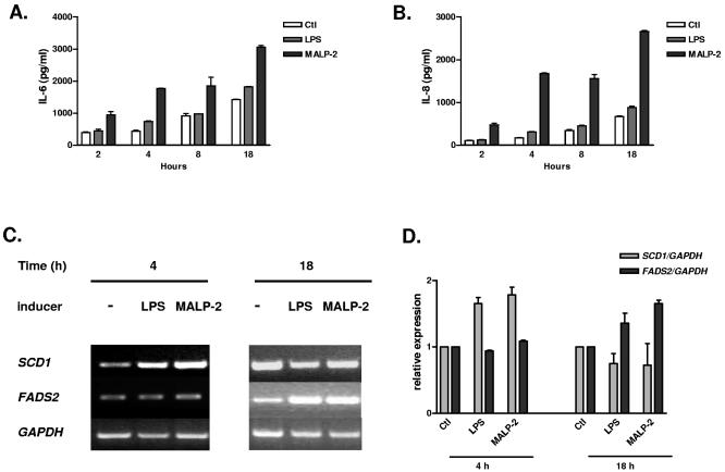 FIG. 8.