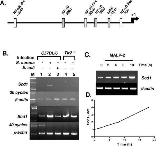 FIG. 7.