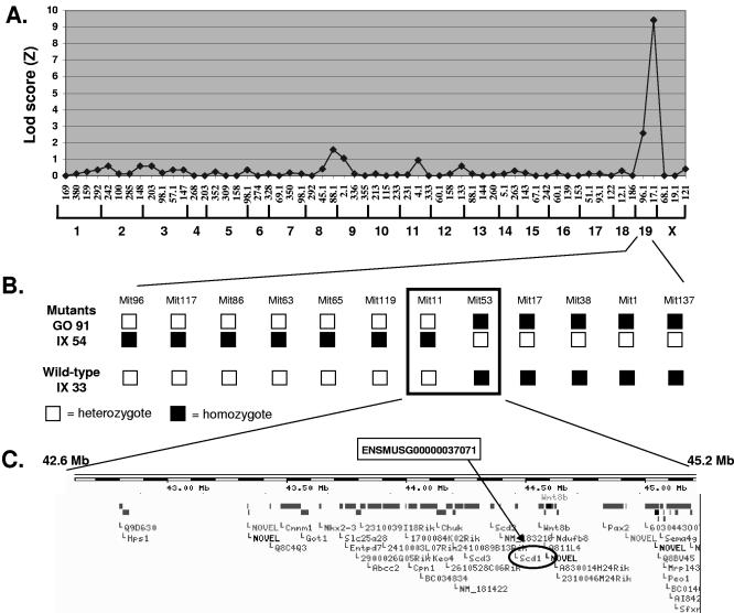 FIG. 3.