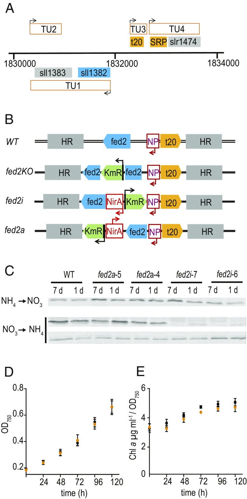 Fig. 3.