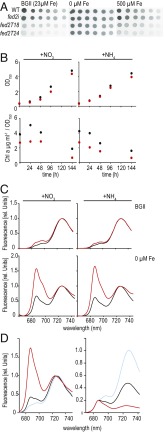 Fig. 5.