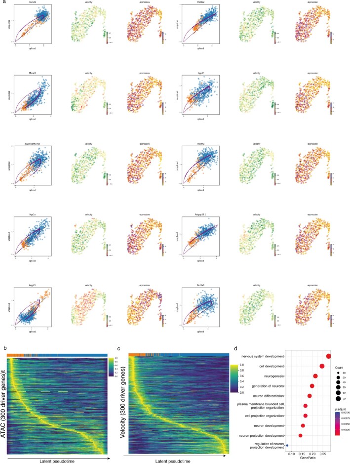 Extended Data Fig. 10