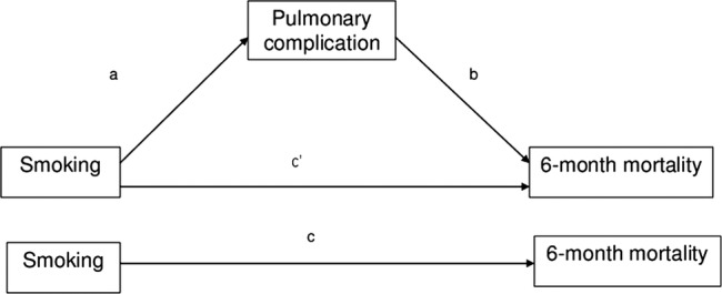 Figure 1