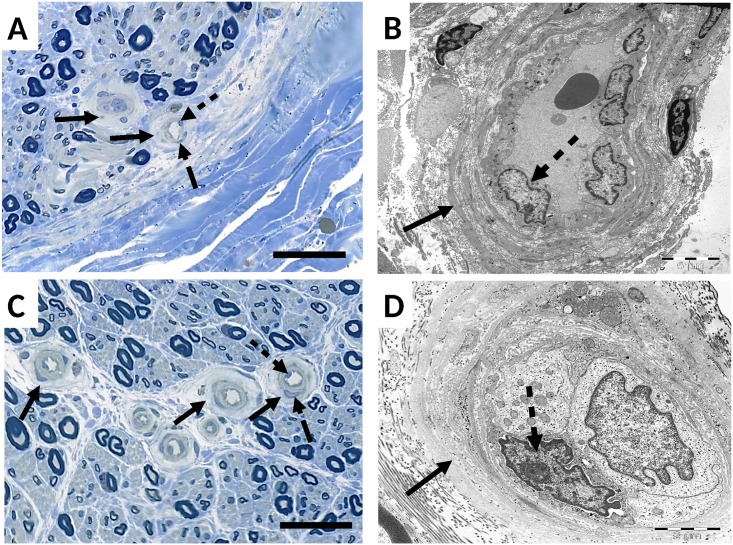 Fig 2