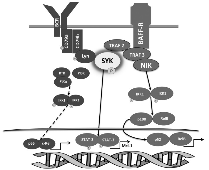 Figure 7.