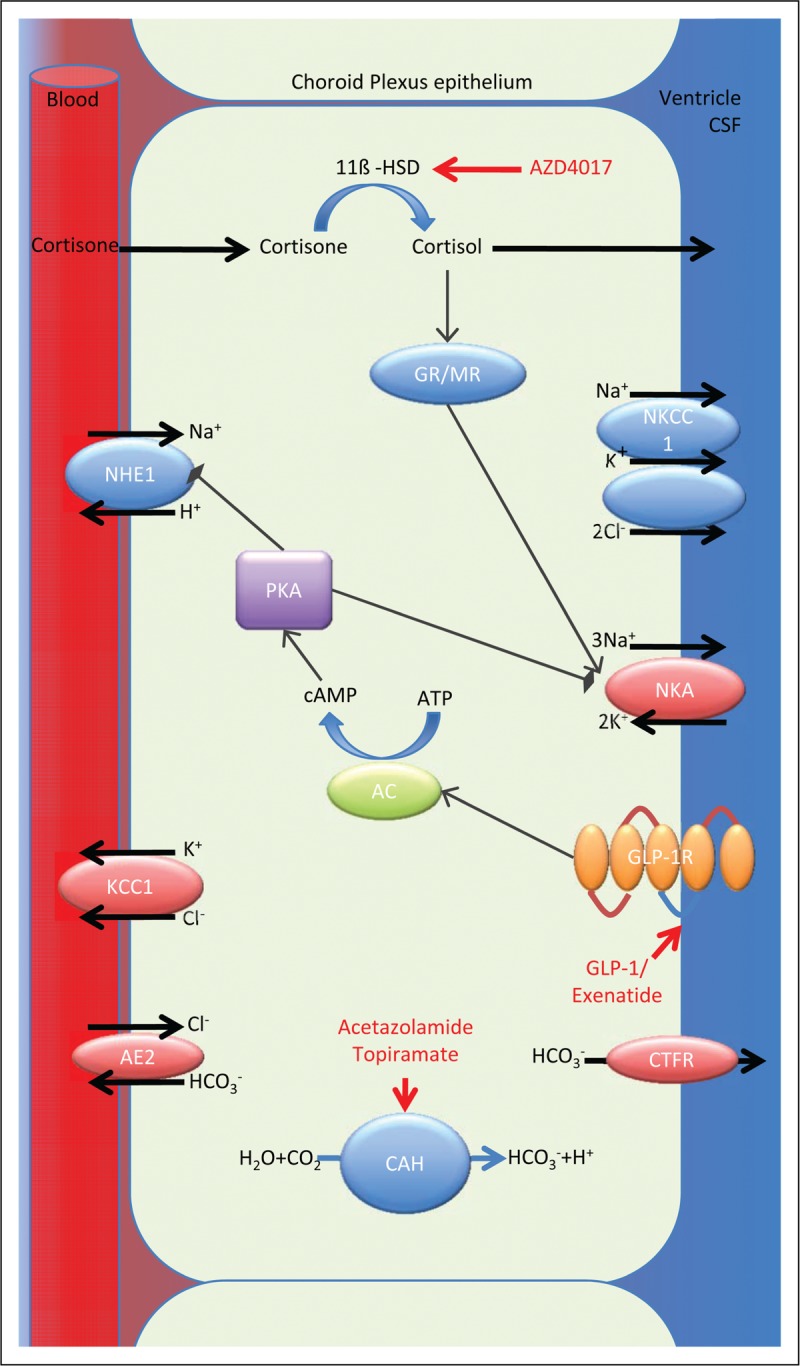 FIGURE 4