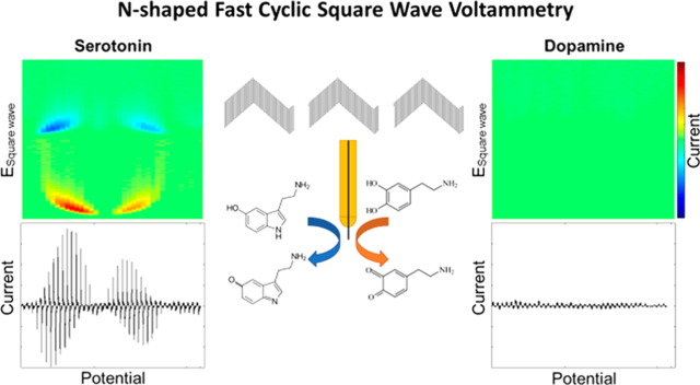 graphic file with name nihms-1611488-f0001.jpg