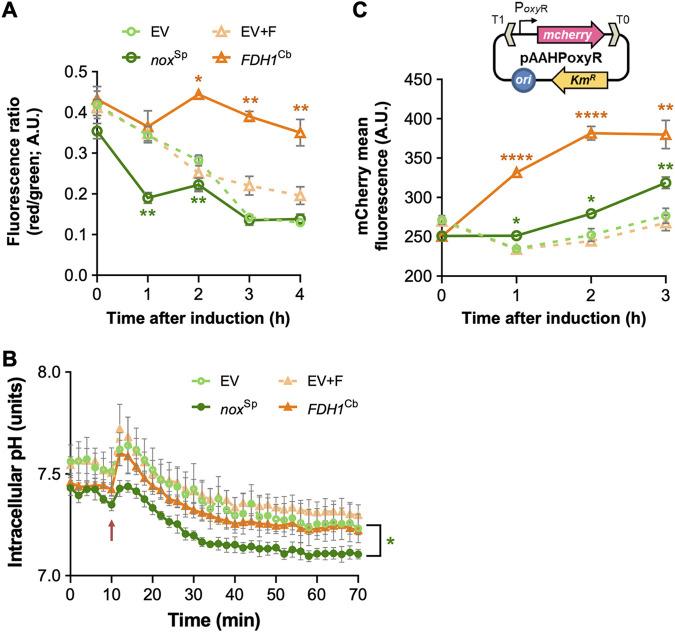 FIG 3