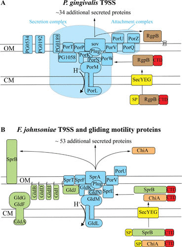 FIGURE 2