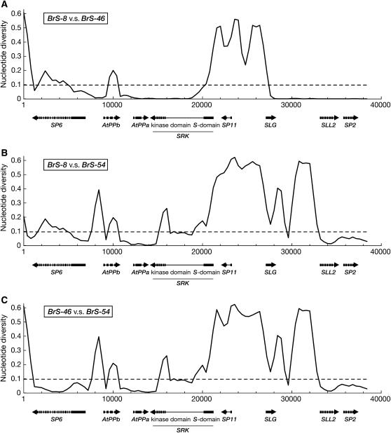 Figure 2.—